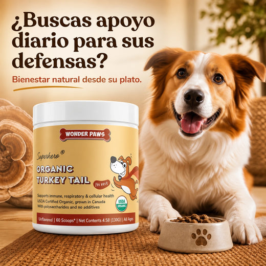 ImmunoPaws 130g – Hongo Turkey Tail Orgánico para Perros