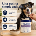 PetLabCo Allergy & Immune - un masticable diario para perros de 25 a 75 libras
