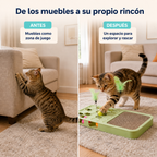 Antes y después de ofrecer al gato un espacio propio para jugar y rascar